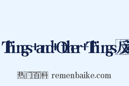 Things+and+Other+Things反义词是什么意思的图片